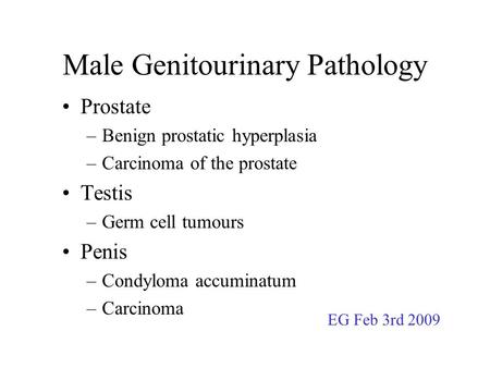 Male Genitourinary Pathology