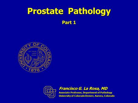Prostate Pathology Part 1 Francisco G. La Rosa, MD Associate Professor, Department of Pathology University of Colorado Denver, Aurora, Colorado.