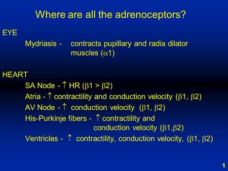 1 Where are all the adrenoceptors? EYE Mydriasis - contracts pupillary and radia dilator muscles (  1) HEART SA Node -  HR (  1 >  2) Atria -  contractility.