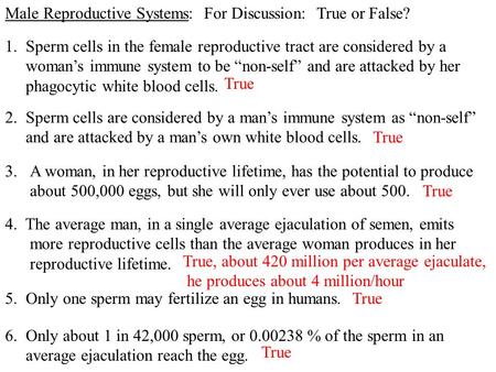 Male Reproductive Systems: For Discussion: True or False? 2. Sperm cells are considered by a man’s immune system as “non-self” and are attacked by a man’s.