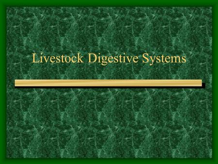 Livestock Digestive Systems Ruminant Digestive System Objectives: –Know the four parts of the ruminant stomach. –Know examples of animals that have a.