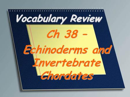 Ch 38 – Echinoderms and Invertebrate Chordates