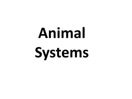 Animal Systems.