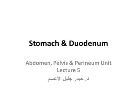 Abdomen, Pelvis & Perineum Unit Lecture 5 د. حيدر جليل الأعسم