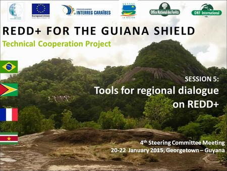 REDD+ FOR THE GUIANA SHIELD Technical Cooperation Project SESSION 5: Tools for regional dialogue on REDD+ 4 th Steering Committee Meeting 20-22 January.