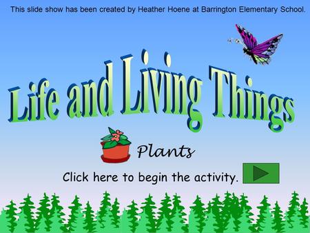 Plants This slide show has been created by Heather Hoene at Barrington Elementary School. Click here to begin the activity.