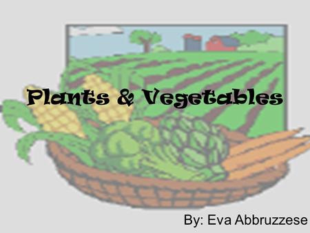 Plants & Vegetables By: Eva Abbruzzese. Why are they important to me? Plants are natural resources from the earth In order to live we have to eat We feed.