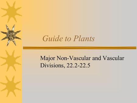 Guide to Plants Major Non-Vascular and Vascular Divisions, 22.2-22.5.