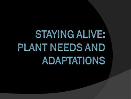 Plant Needs  What do plants need to survive? sunlight water nutrients/minerals energy from food (made by the plant) enough soil to live and grow carbon.