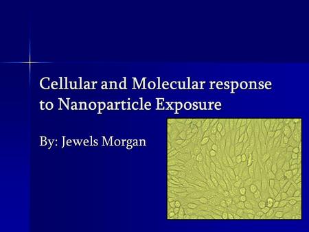 Cellular and Molecular response to Nanoparticle Exposure By: Jewels Morgan.