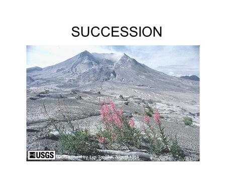SUCCESSION. HOW DO ECOSYSTEMS RESPOND TO CHANGE? A change in structure ensures a change in function and species composition. Ecological succession is.