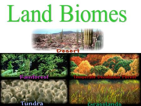 What is a Biome? The major terrestrial ecosystems are classified into units called biomes A biome is a large region characterized by certain conditions,