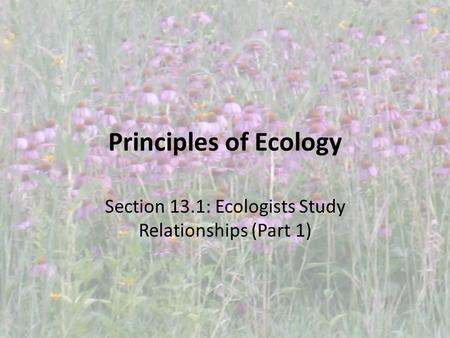Principles of Ecology Section 13.1: Ecologists Study Relationships (Part 1)