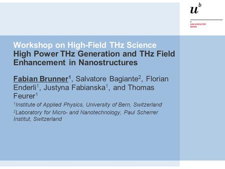 Workshop on High-Field THz Science High Power THz Generation and THz Field Enhancement in Nanostructures Fabian Brunner 1, Salvatore Bagiante 2, Florian.