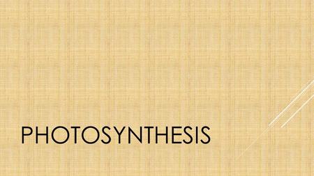 PHOTOSYNTHESIS. Photosynthesis is the process in which a plant converts sunlight into energy.