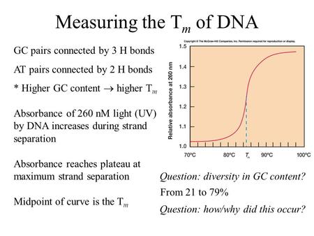 Measuring the T m of DNA GC pairs connected by 3 H bonds AT pairs connected by 2 H bonds * Higher GC content  higher T m Absorbance of 260 nM light (UV)