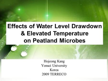 Hojeong Kang Yonsei University Korea 2009 TERRECO Effects of Water Level Drawdown & Elevated Temperature on Peatland Microbes.