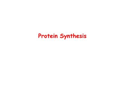Protein Synthesis. Translating the Message How does the sequence of mRNA translate into the sequence of a protein? What is the genetic code? How do you.