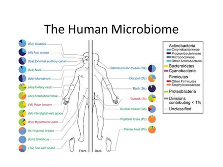 The Human Microbiome.