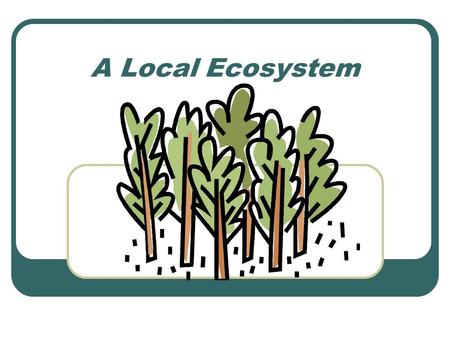 A Local Ecosystem. Abiotic features of the environment Abiotic features are the non-living components of the environment. They include, Physical features: