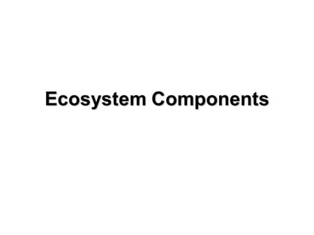 Ecosystem Components. BIOTIC Components of an Ecosystem PRODUCERS CONSUMERS DECOMPOSERS (type of Consumer)