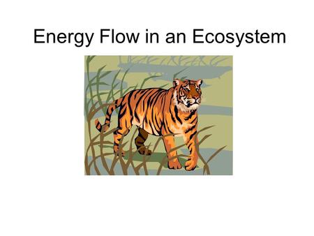 Energy Flow in an Ecosystem. Anticipation Guide Think about the vocabulary words. DO you know any of them? Do you recognize a part of a word? Can you.
