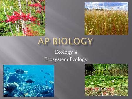 Ecology 4 Ecosystem Ecology.  Ecosystems are the sum of all the organisms living in an area plus all the abiotic factors with which they interact. A.