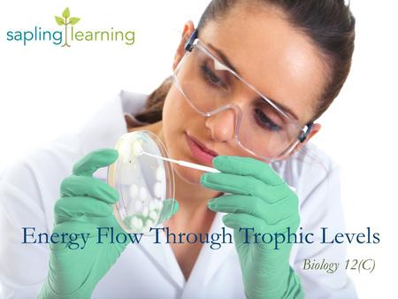 Energy Flow Through Trophic Levels Biology 12(C).
