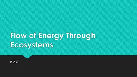 Flow of Energy Through Ecosystems B-3.6. Energy Through Ecosystems  The flow of energy through ecosystems can be described and illustrated in food chains,
