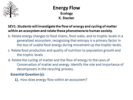 Energy Flow Ecology K. Stacker SEV1. Students will investigate the flow of energy and cycling of matter within an ecosystem and relate these phenomena.