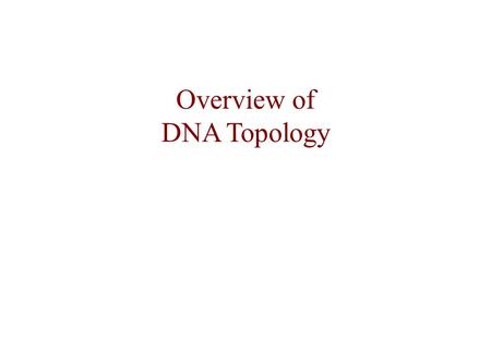 Overview of DNA Topology. DNA Primary and Secondary Structure Primary: Composed of repeated units: nucleotides (nt) nt = sugar U phosphate U base Sugar-phosphate.