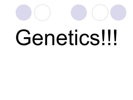 Genetics!!!. First… Some Background Information…