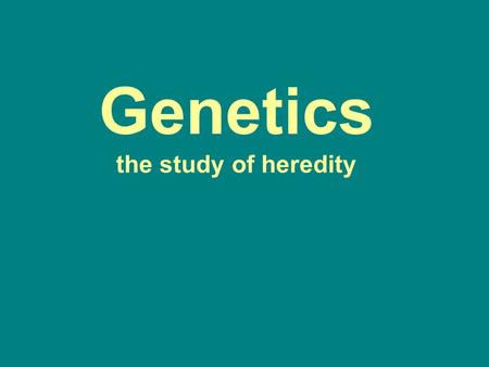 Genetics the study of heredity. Gregor Mendel “Father of Genetics” Heredity -the transfer of characteristics from parents to offspring through their genes.