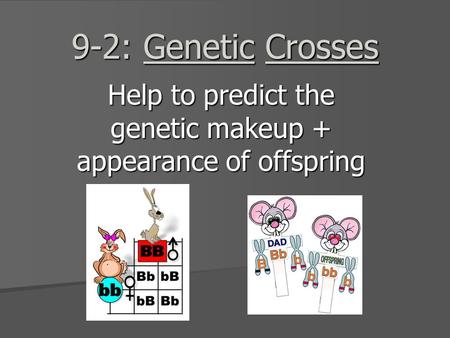 9-2: Genetic Crosses Help to predict the genetic makeup + appearance of offspring.