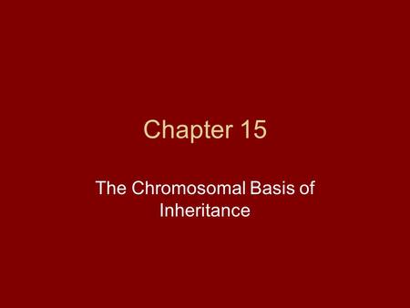 Chapter 15 The Chromosomal Basis of Inheritance. The Chromosome Theory of Inheritance Genes have specific loci on chromosomes & it is the chromosomes.