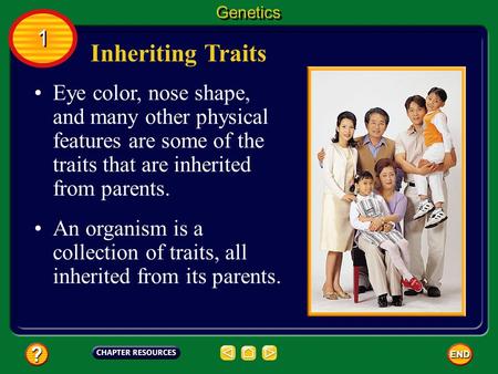 Genetics 1 Inheriting Traits
