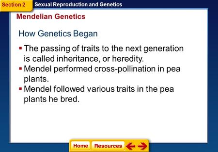 Mendel performed cross-pollination in pea plants.