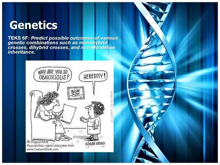 Genetics TEKS 6F: Predict possible outcomes of various genetic combinations such as monohybrid crosses, dihybrid crosses, and non-Mendelian inheritance.