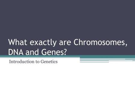 What exactly are Chromosomes, DNA and Genes? Introduction to Genetics.