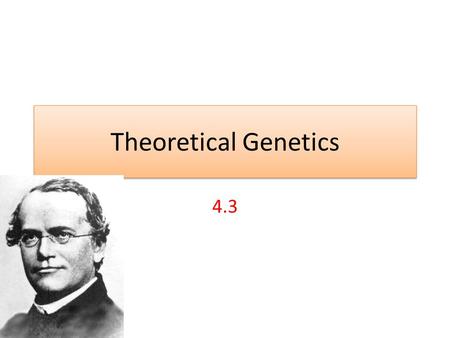 Theoretical Genetics 4.3.