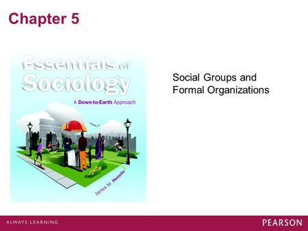 Social Groups and Formal Organizations