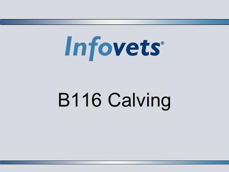 B116 Calving. Infovets Educational Resources – www.infovets.com – Slide 2 Stage 1 Labor:  Visible signs of early labor may or may not be seen in mature.