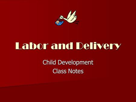 Labor and Delivery Child Development Class Notes.