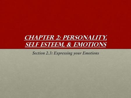 Chapter 2: Personality, Self Esteem, & Emotions