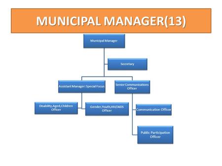 MUNICIPAL MANAGER(13) Municipal Manager Senior Communications Officer Public Participation Officer Communication Officer Assistant Manager: Special Focus.