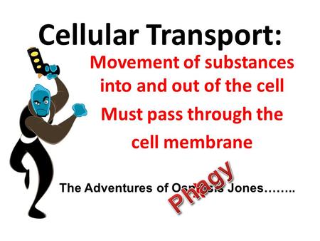 Cellular Transport: Movement of substances into and out of the cell Must pass through the cell membrane The Adventures of Osmosis Jones…….. X.