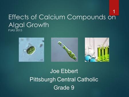 Effects of Calcium Compounds on Algal Growth PJAS 2015 1 Joe Ebbert Pittsburgh Central Catholic Grade 9.