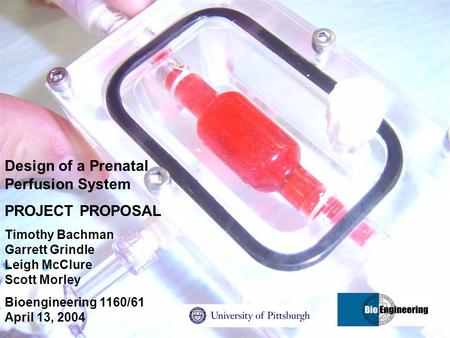 April 13, 2004 Design of a Prenatal Perfusion System PROJECT PROPOSAL Timothy Bachman Garrett Grindle Leigh McClure Scott Morley Bioengineering 1160/61.