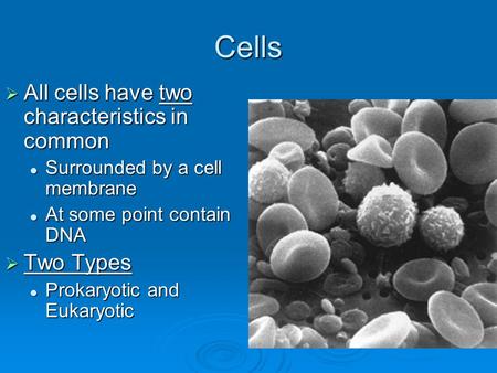 Cells  All cells have two characteristics in common Surrounded by a cell membrane Surrounded by a cell membrane At some point contain DNA At some point.