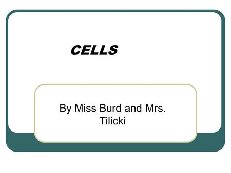 CELLS By Miss Burd and Mrs. Tilicki. CELLS – all living things are made up of cells! Cells – the basic unit of structure for our bodies.